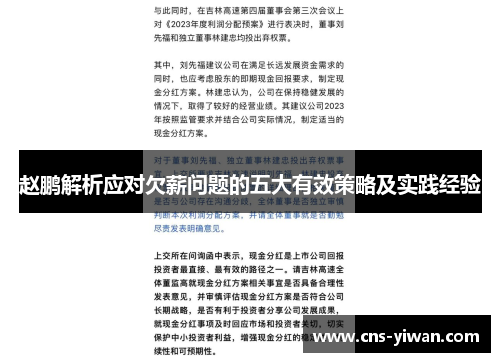 赵鹏解析应对欠薪问题的五大有效策略及实践经验