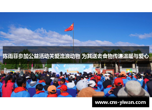 陈雨菲参加公益活动关爱流浪动物 为其送去食物传递温暖与爱心